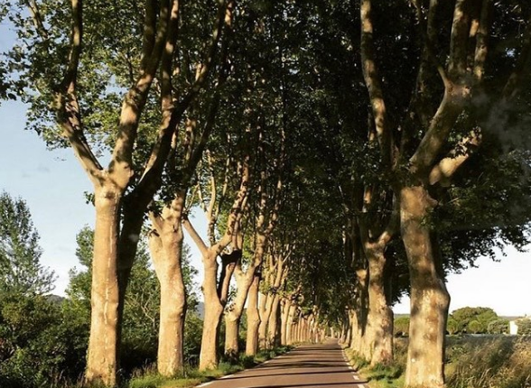 Route d'Uzès